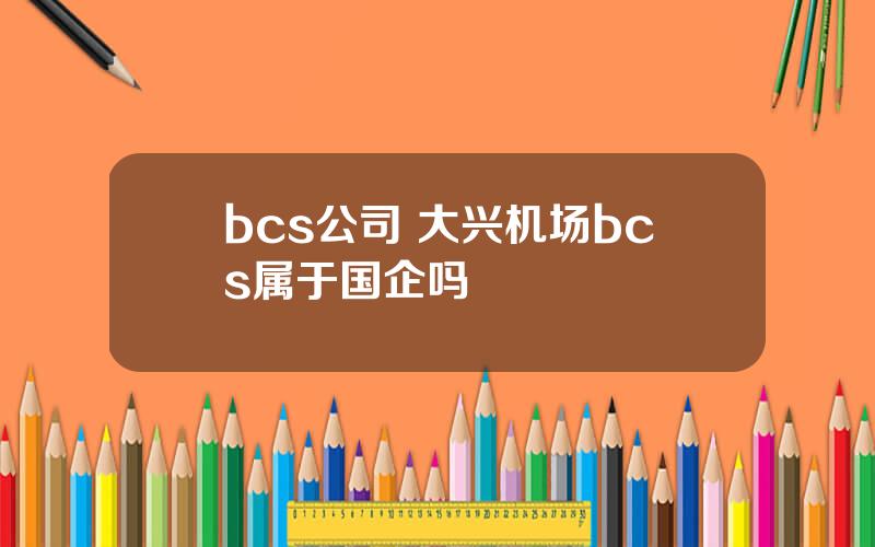 bcs公司 大兴机场bcs属于国企吗